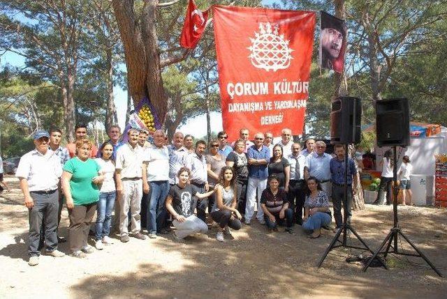 Evcilmen Esnaf Odaları Ve Hemşehri Derneklerinin Pikniğine Katıldı