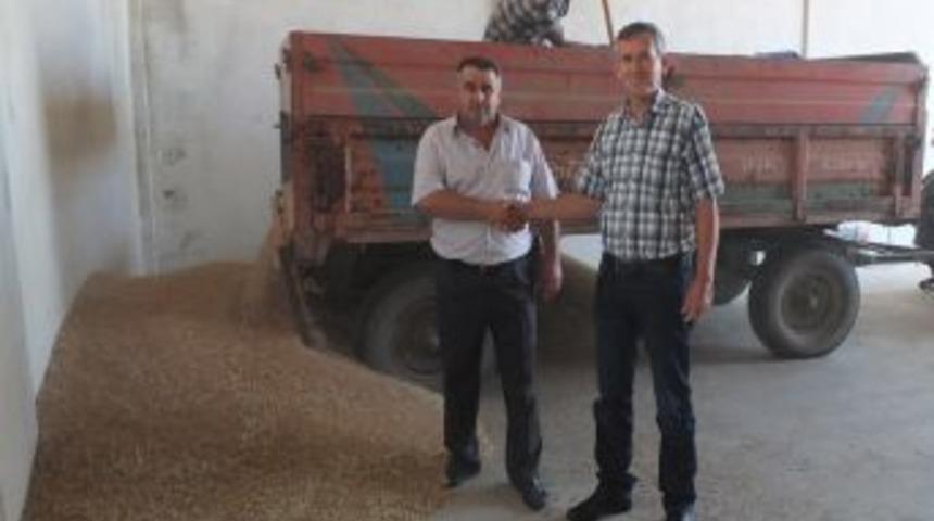 Sezonun Ilk Buğdayı 2 Liradan Satıldı