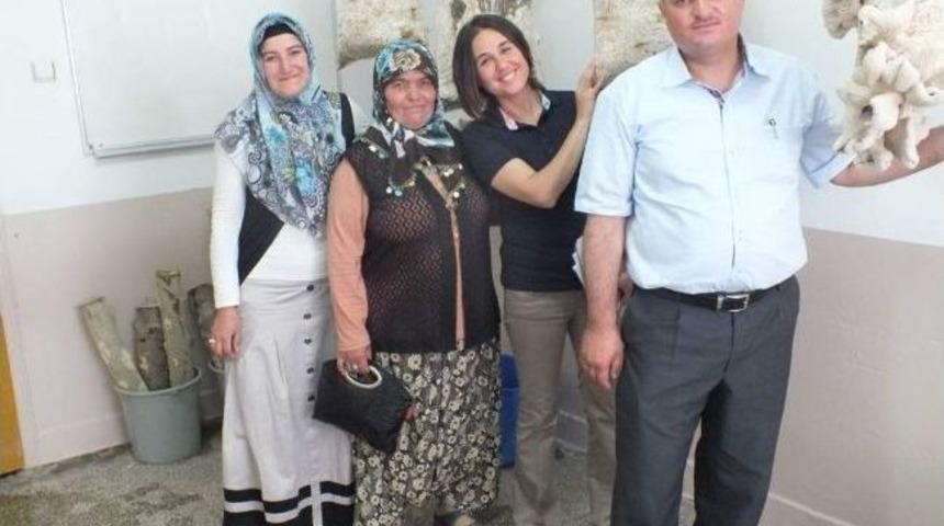 Niğde'de İlk Defa İstiridye Mantarı &Uuml;retildi&rlm;