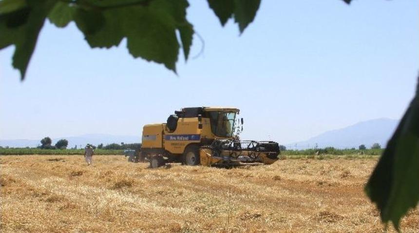 Saruhanlı'da Bi&ccedil;erd&ouml;verler Denetlendi