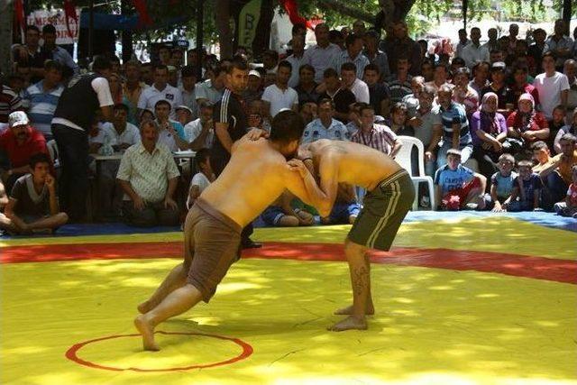 Mut Kayısı Festivali Sportif Etkinliklerle Sona Erdi