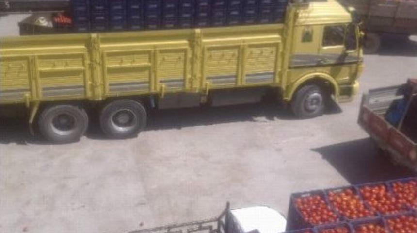 Kazova&rsquo;ya Entegre Tesis