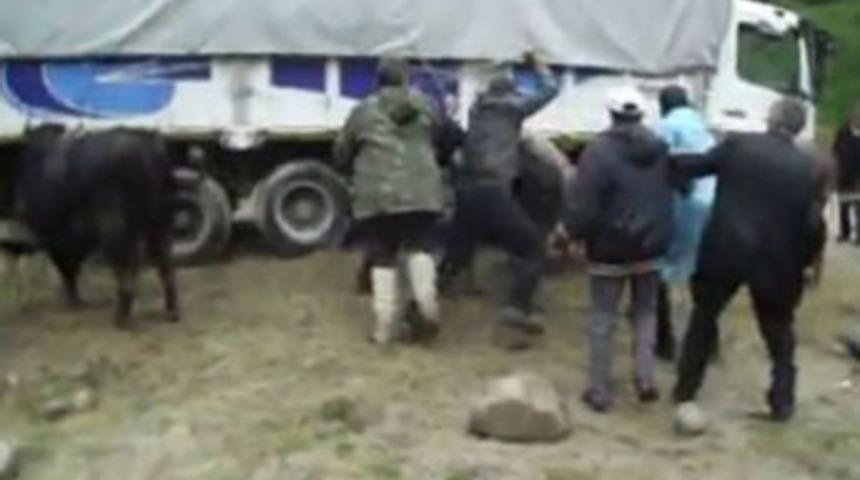 Boğalar g&uuml;reşti sahipleri kavga etti