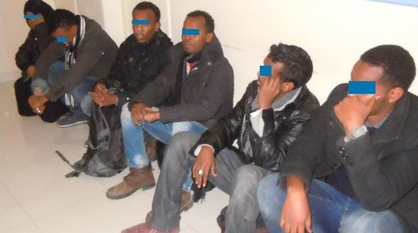 7 Şehirde G&ouml;&ccedil;men Ka&ccedil;ak&ccedil;ılığı Operasyonu