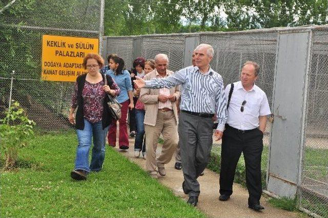 Ankara Tokat Vakfı nın &Uuml;yeleri Erbaa&rsquo;yı Gezdi 1