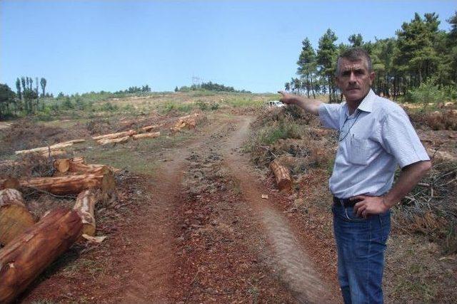 K&ouml;yl&uuml;lerden Gen&ccedil;leştirme İsyanı 1