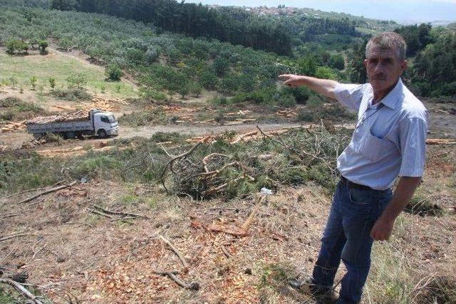 K&ouml;yl&uuml;lerden Gen&ccedil;leştirme İsyanı 2