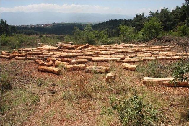 K&ouml;yl&uuml;lerden Gen&ccedil;leştirme İsyanı 3