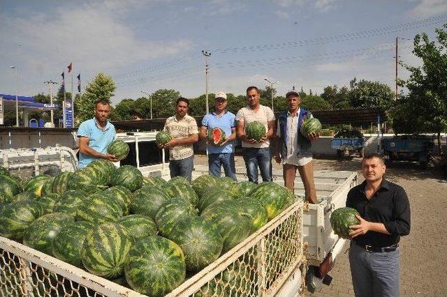 Atça Karpuzu Reçel Olacak