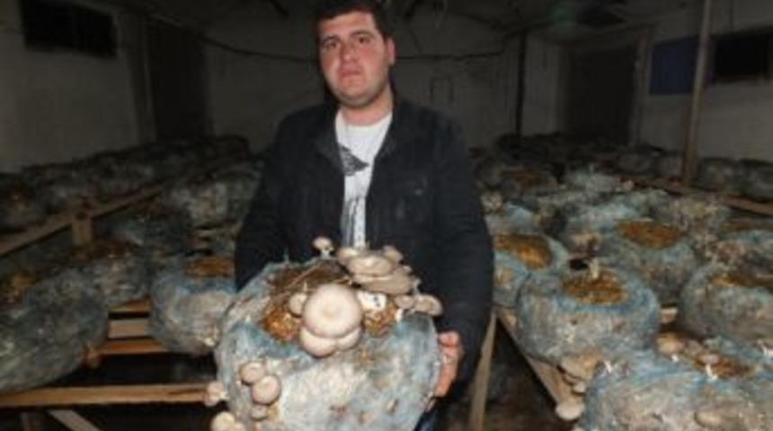 İznikli girişimci mantar da yeni bir &ccedil;ağ başlattı