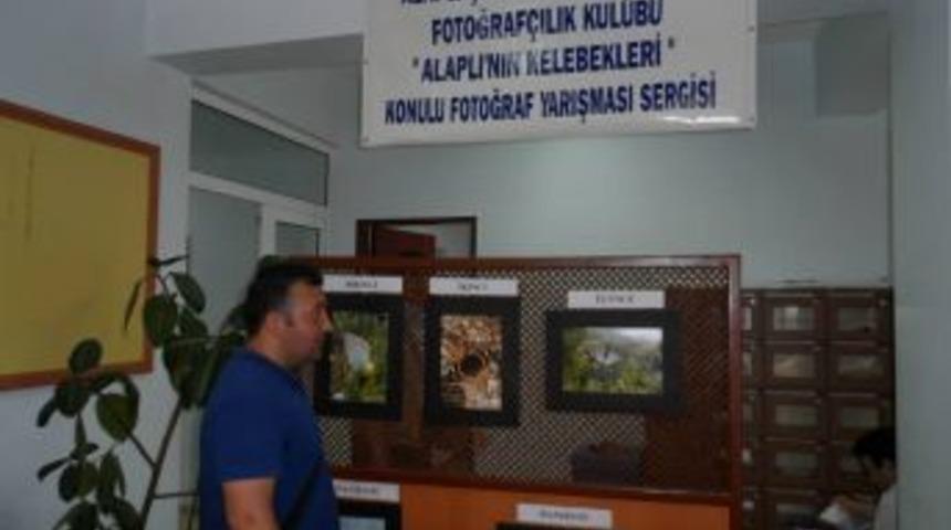 Alaplı'nın kelebekleri konulu fotoğraf yarışması sonu&ccedil;landı