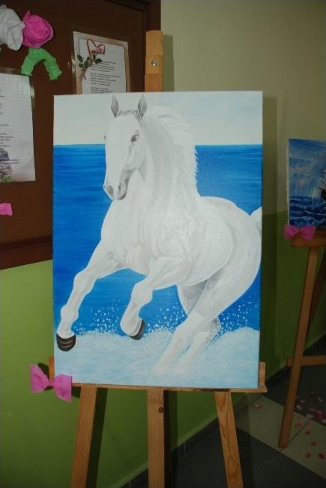 Sapanca Anadolu Lisesi Resim Sergisi A&ccedil;ıldı