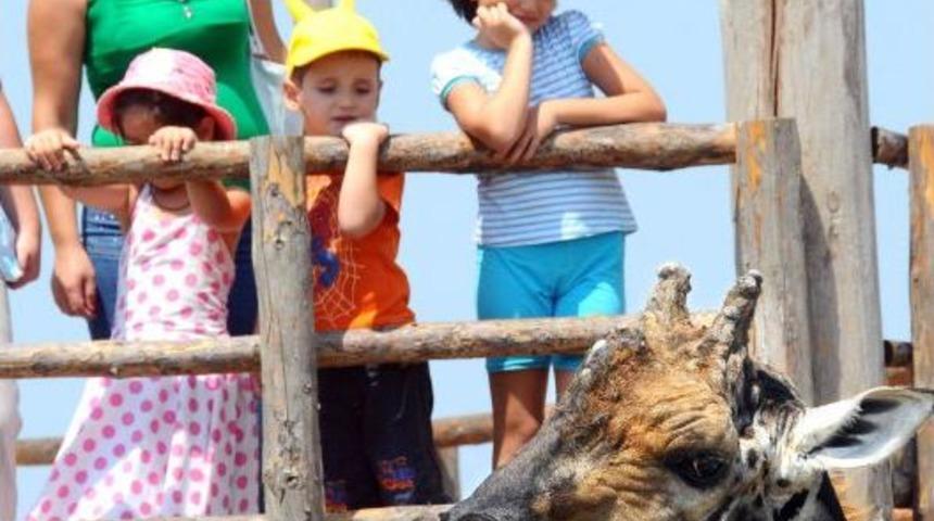 İzmir Z&uuml;rafa &lsquo;Efe&rsquo;sini Kaybetti