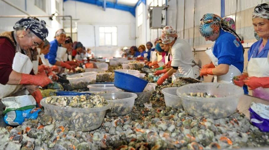 Su &Uuml;r&uuml;nleri &Ouml;ğrencileri Yakakent&rsquo;te