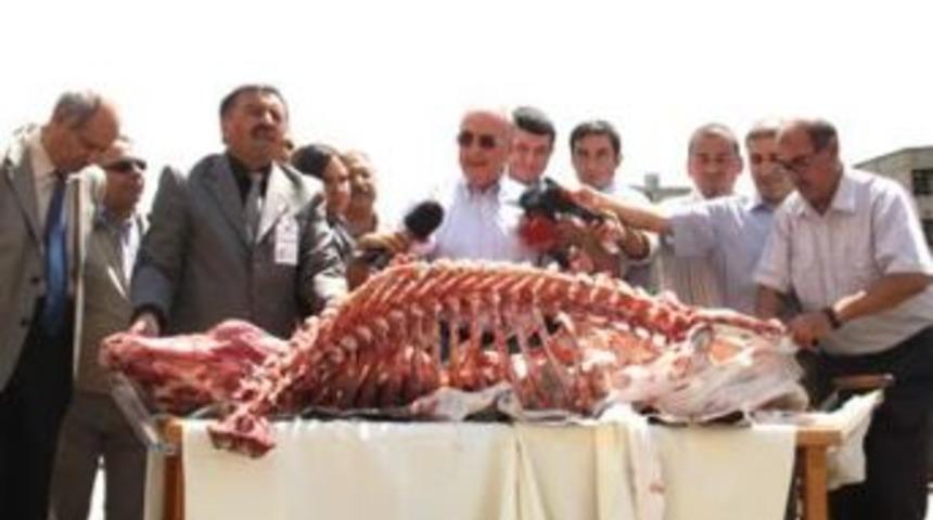 &Ouml;ğ&uuml;t, TBMM&rsquo;ye hayvan iskeleti g&ouml;t&uuml;rd&uuml;