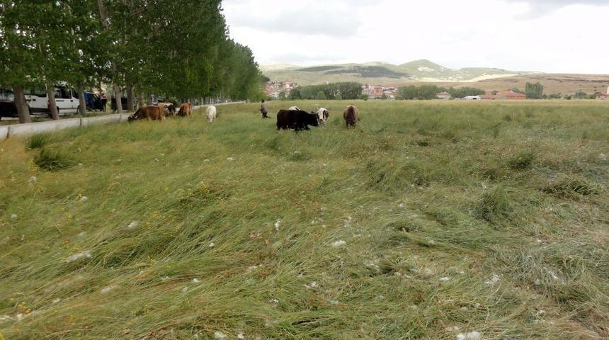 Mera Islah Projesi K&ouml;yl&uuml;n&uuml;n Girdi Maliyetini Y&uuml;zde 30 D&uuml;ş&uuml;rd&uuml;