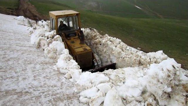 G&uuml;m&uuml;şhane&rsquo;de Haziran Ayında Karla M&uuml;cadele 2
