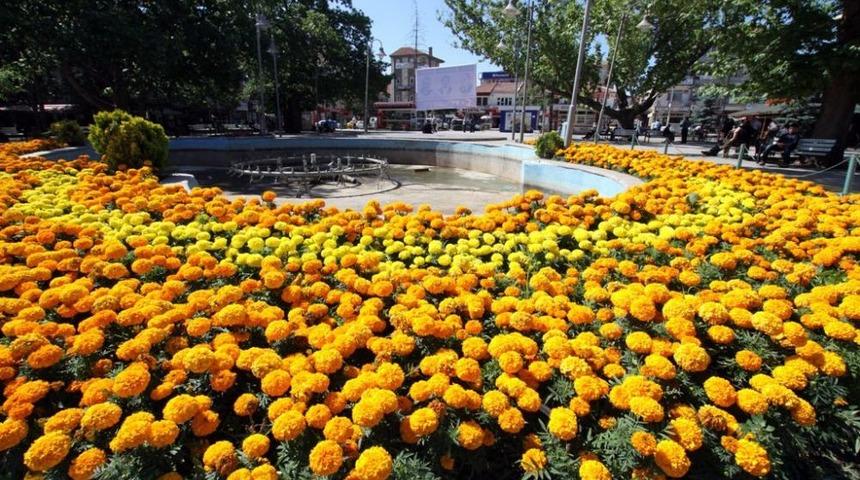 &Ccedil;ubuk'ta Parklar Ve Caddeler &Ccedil;i&ccedil;ek A&ccedil;tı