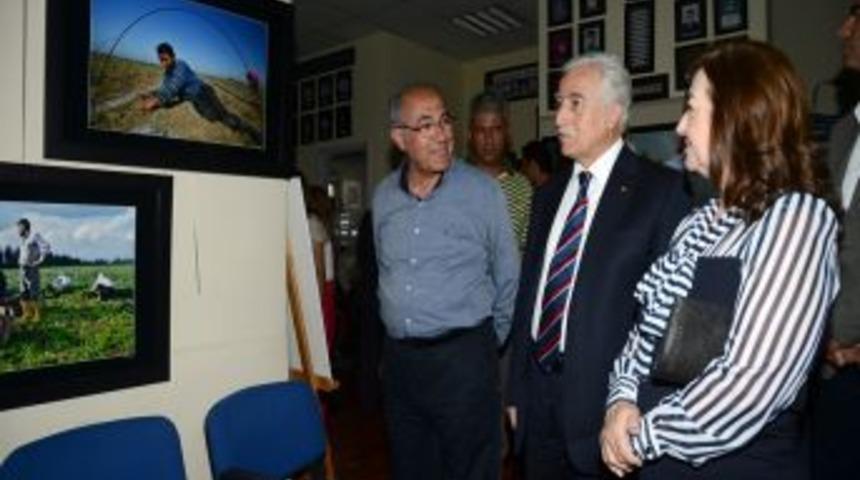 AFAD&rsquo;ın 'Semt Pazarları&rsquo; Konulu Fotoğraf Sergisi A&ccedil;ıldı