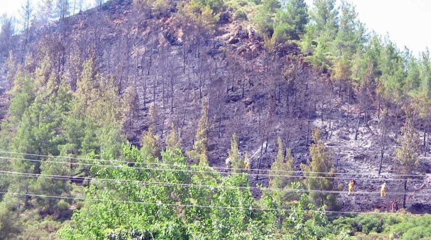 Marmaris&rsquo;te 5 D&ouml;n&uuml;m &Ccedil;am Ormanı Yandı