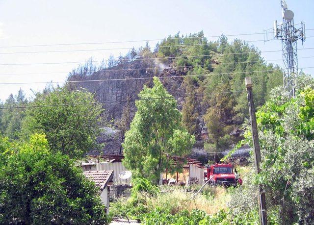 Marmaris&rsquo;te 5 D&ouml;n&uuml;m &Ccedil;am Ormanı Yandı 1