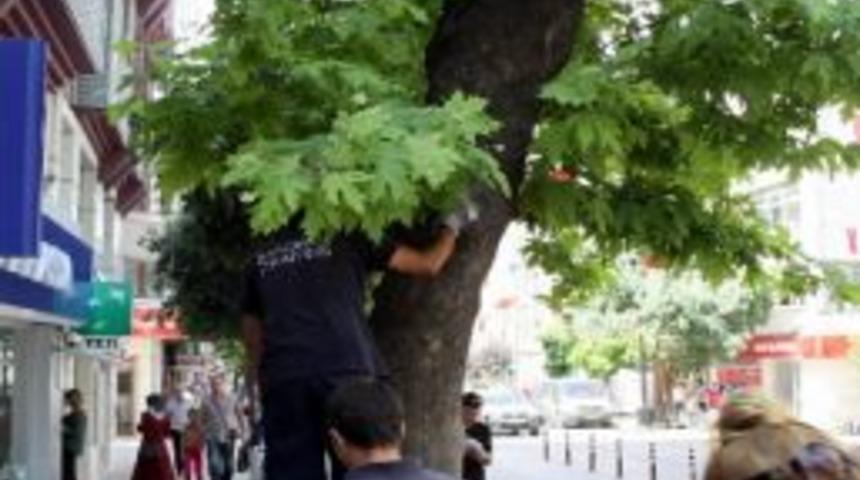 Mahsur Kalan Yavru Kediyi İtfaiye Kurtardı