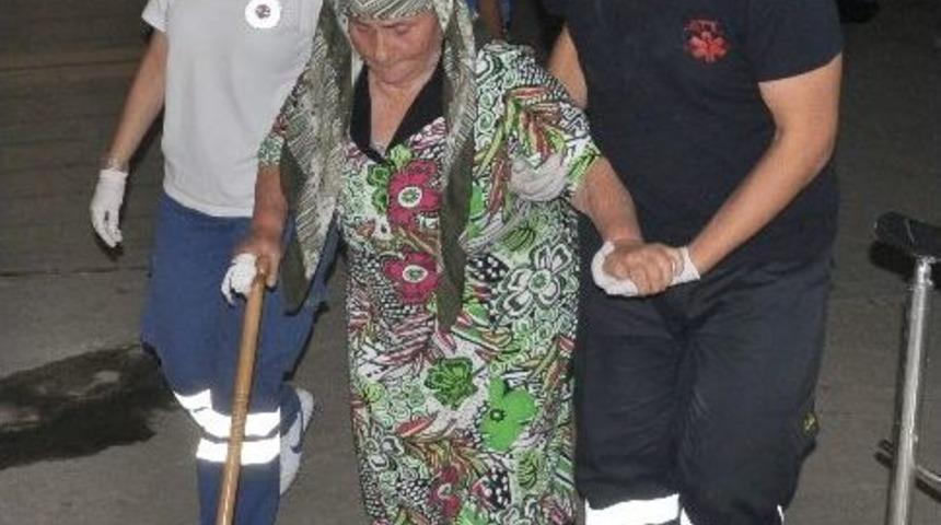 80 Yaşındaki Kadını Fare Isırdı