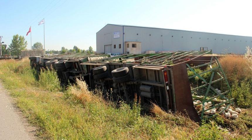 TIR Devrildi, Tavuklar Telef Oldu