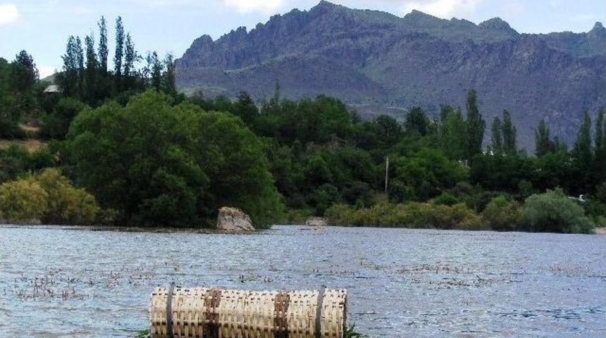 G&ouml;&ccedil;men Kuşlar Yapay Evlerle Korumaya Alındı