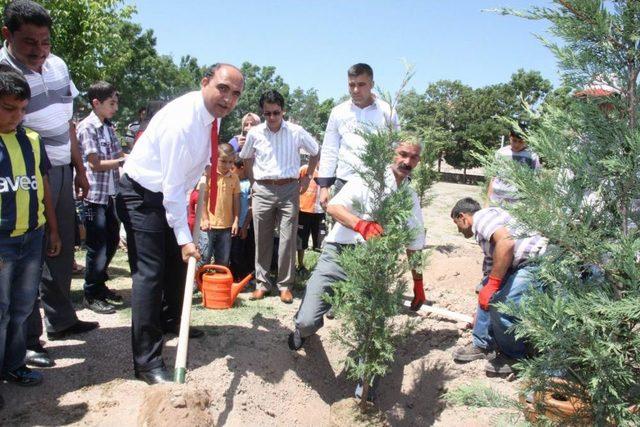 Çevreci Öğrencilere Ağaç Ödülü