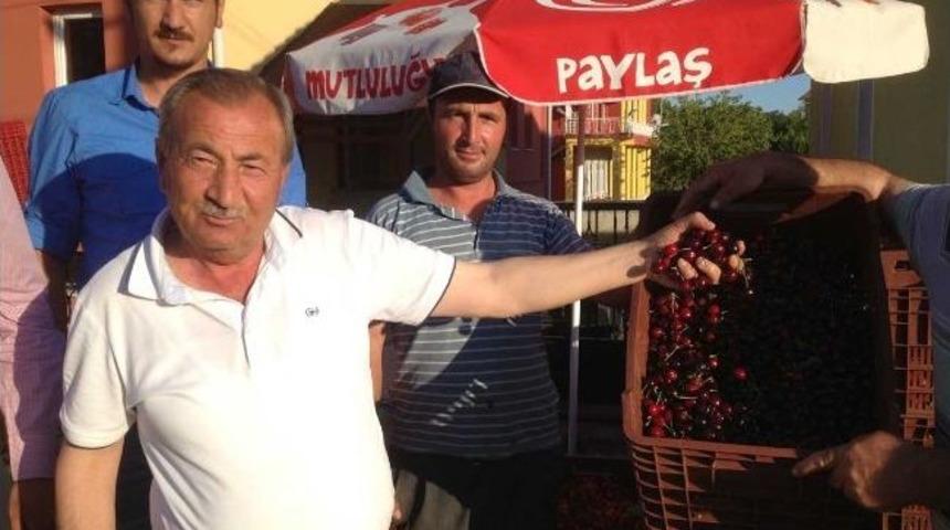 Pazarlar&rsquo;da Kiraz Sezonu A&ccedil;ıldı