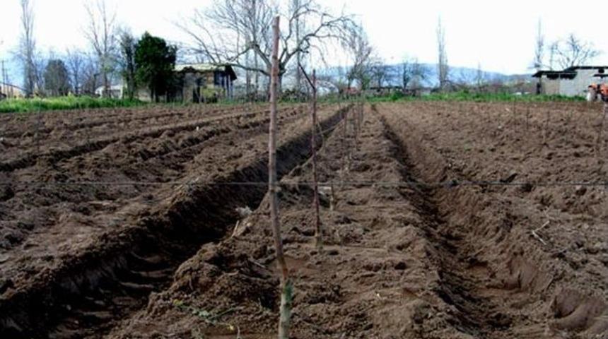 Sertifikalı Fidan Desteğinden Faydalanmak İsteyen &Uuml;reticilere Uyarı