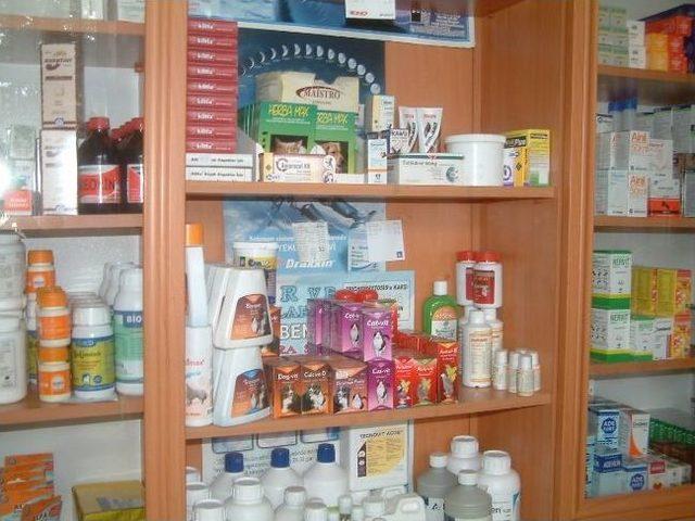 Burhaniye&rsquo;de Hayvanlara Re&ccedil;etesiz İla&ccedil; Verilmiyor 1