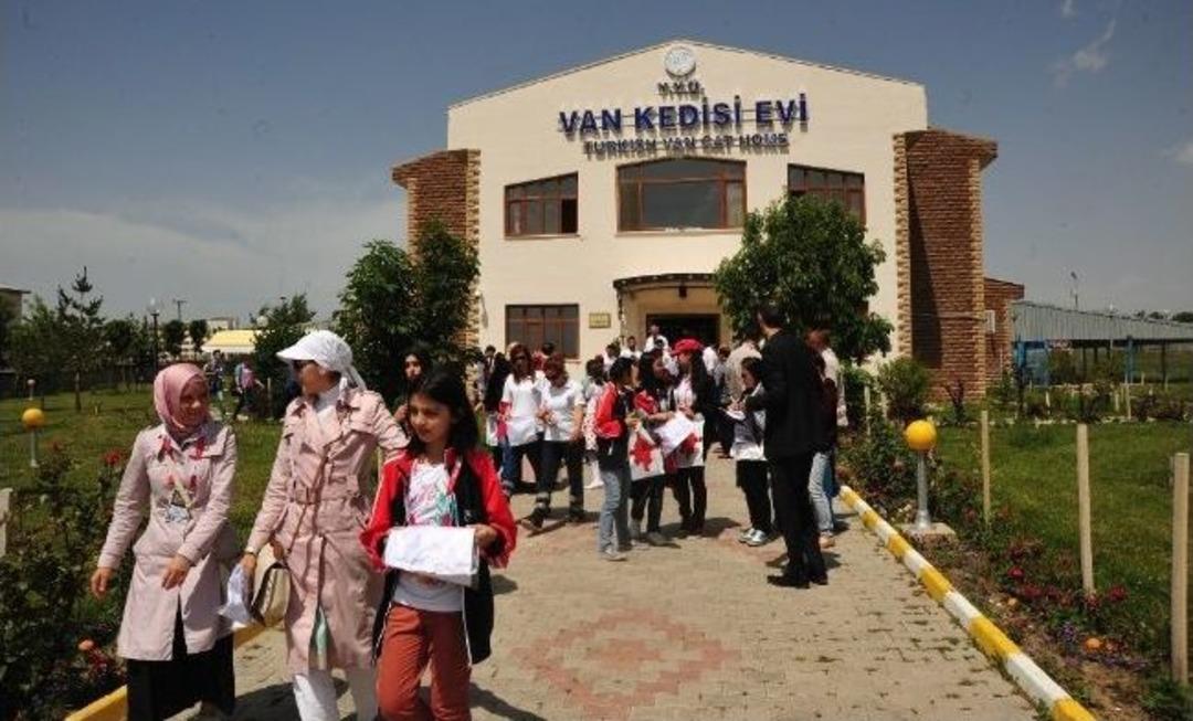 T&uuml;rk&ccedil;e Olimpiyatları&rsquo;na Katılan &Ouml;ğrencilerden Kedi Evi&rsquo;ne Ziyaret