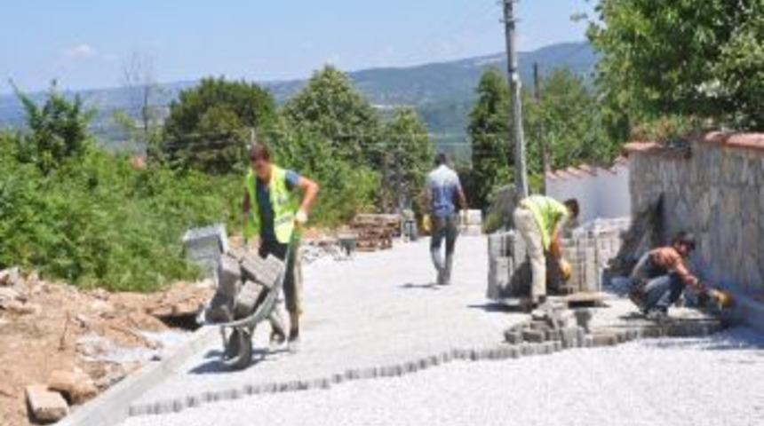 Maşukiye'de Parke Şıklığı