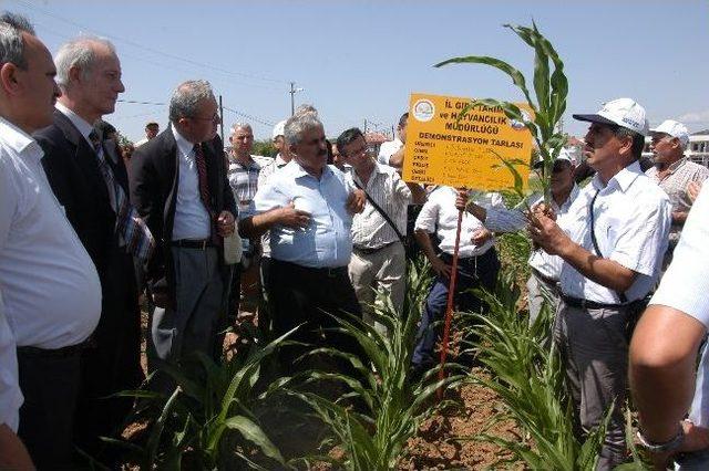 Muğla'da Toprak Bayramı Kutlandı