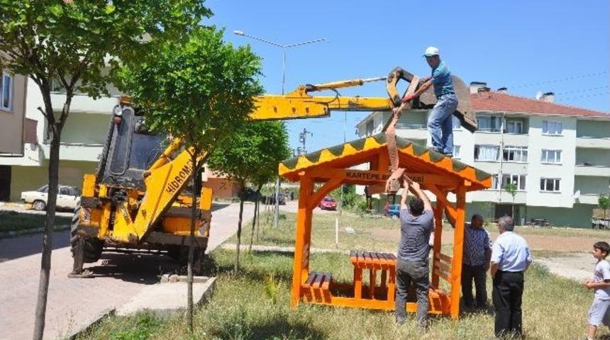 Kamelyalar Monte Edildi