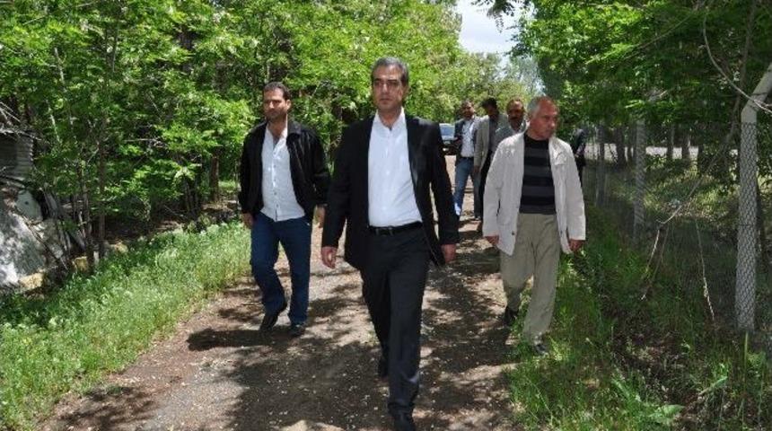 Muş&rsquo;ta 1071 Dekar Alan Ağa&ccedil;landırılacak