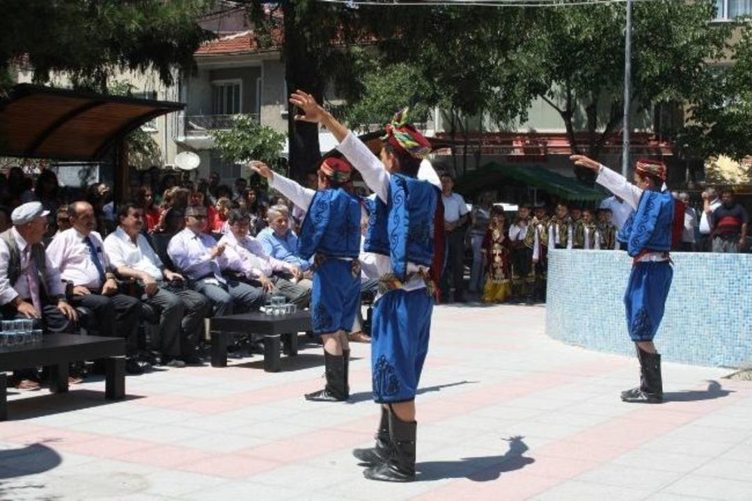 Vize K&uuml;lt&uuml;r, Sanat, Bilim Ve Spor Festivali