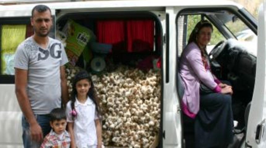 Şehir Şehir Dolaşıp Sarımsak Satıyorlar