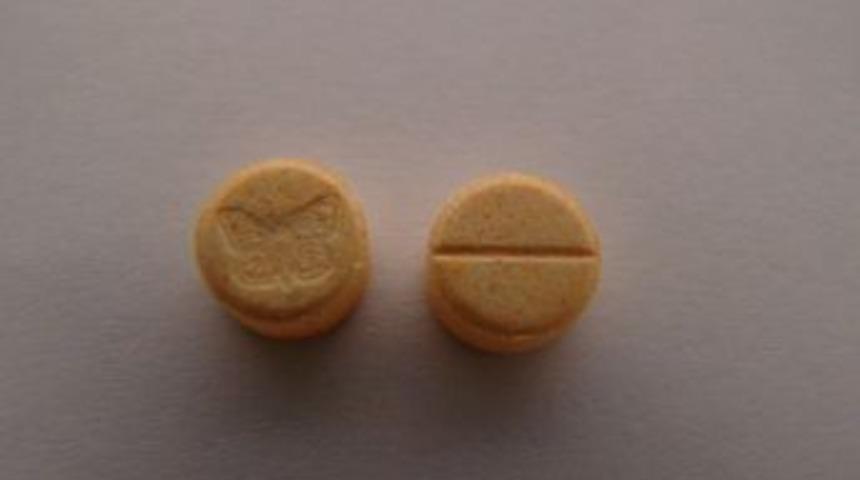 Narkotik K&ouml;peği Bonny, TIR&rsquo;da 290 Bin Adet Ecstasy Hap Buldu