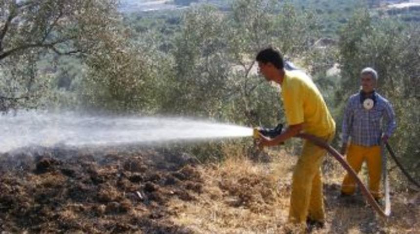 Torbalı'da Bir Ayda 75 Ormanlık Alan K&uuml;l Oldu