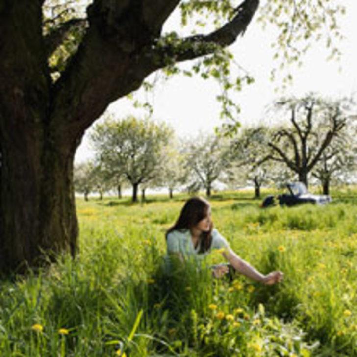 Ruhunuzu Arındırma Y&ouml;ntemleri