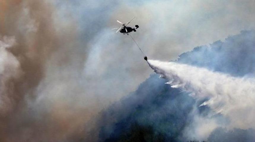 Edremit 1.ulusal &Ccedil;evre Fotoğraf Yarışması'nda Dereceye Girenler A&ccedil;ıklandı
