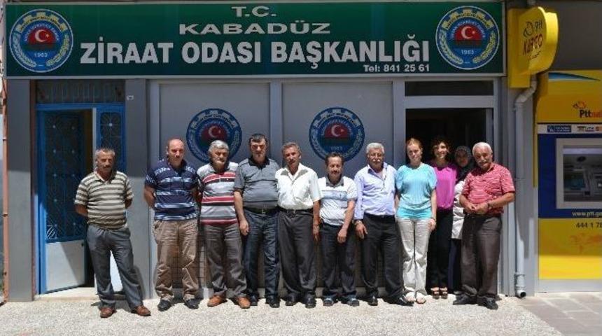 Dolu, R&uuml;zgar Ve Sıcaklar Fındığa Zarar Verdi