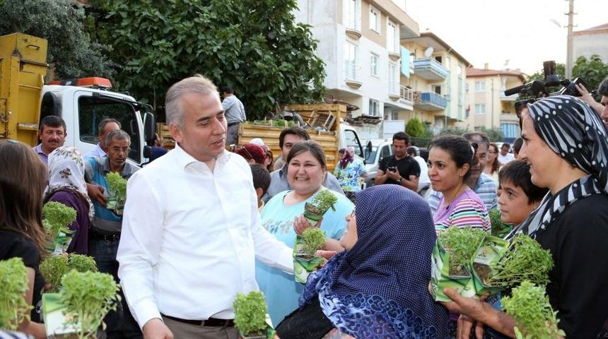 Fesleğen Mahallesi Fesleğen Kokacak