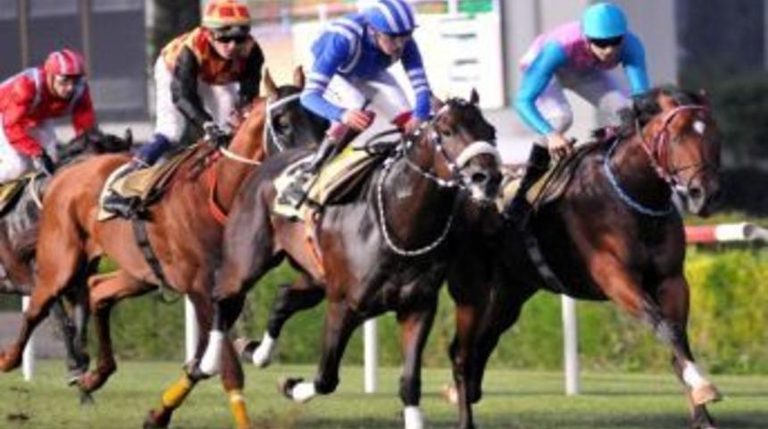 AD&Uuml; Veterinerlik fak&uuml;ltesi koşusu tamamlandı