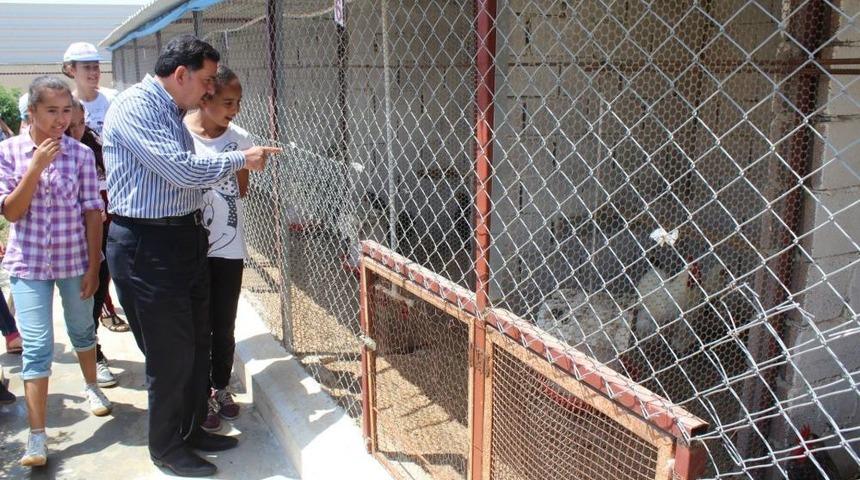 Sarı&ccedil;amlı Yetim Ve &Ouml;ks&uuml;zler Hayvanat Bah&ccedil;esini Gezdi