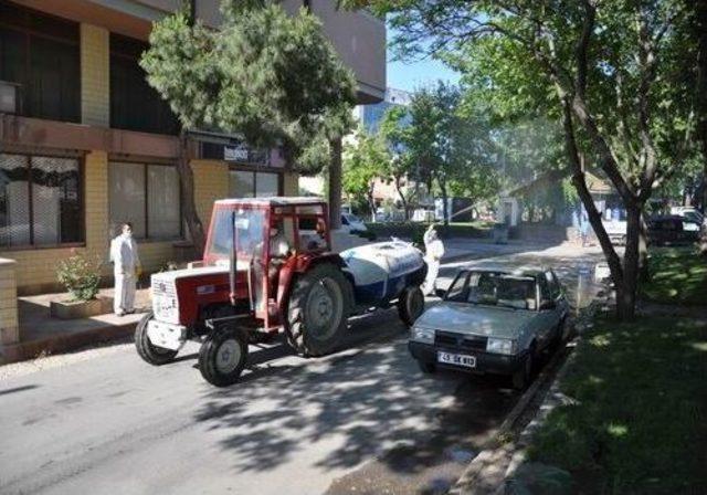 Salihli&rsquo;de Haşereyle M&uuml;cadele &Ccedil;alışmaları Başlatıldı 1