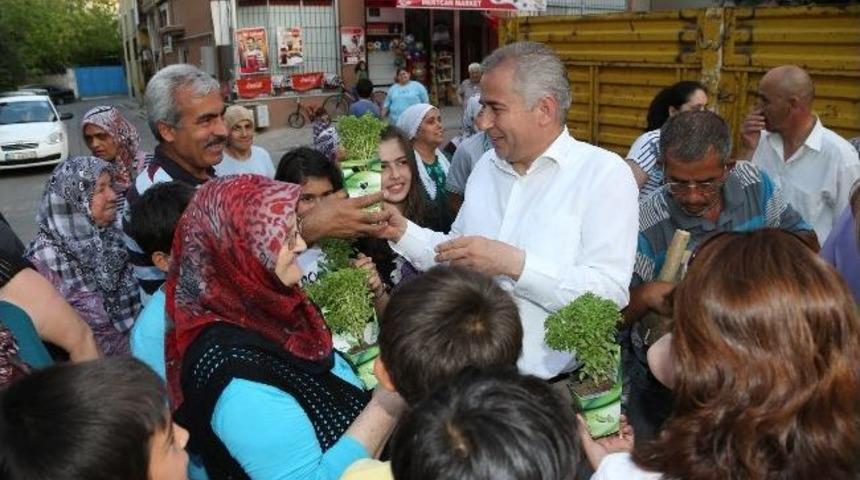 Fesleğen Mahallesi&rsquo;ne İki Kamyon Fesleğen Dağıtıldı